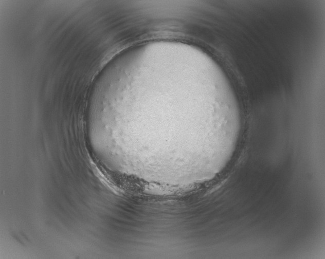 X0000076071417200610202002