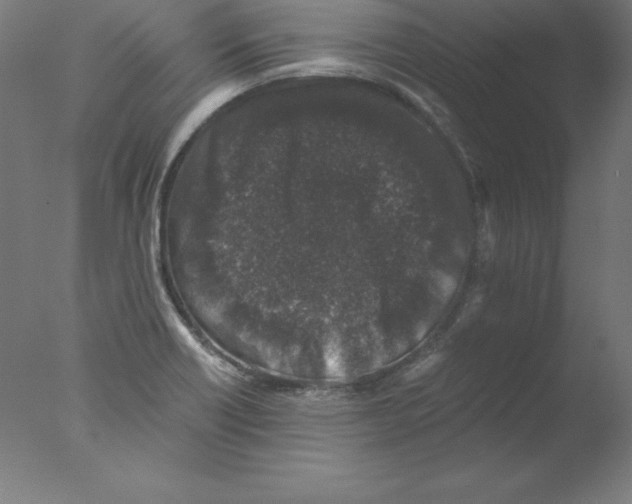 X0000076071418200610202002