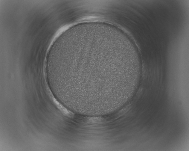 X0000076071421200610202002