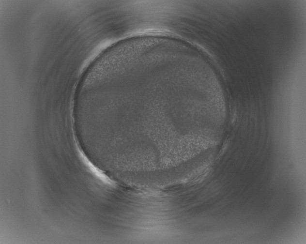 X0000076071422200610202002