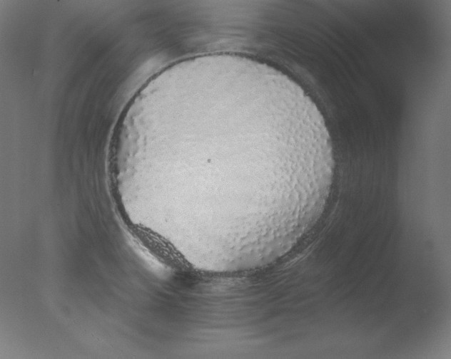 X0000076071423200610202002