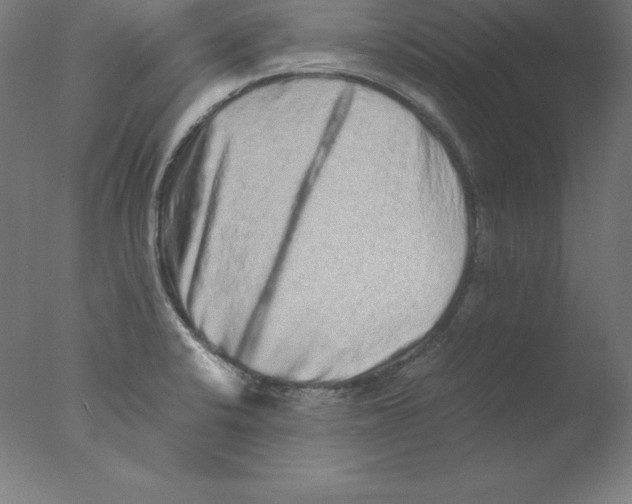 X0000076071424200610202002