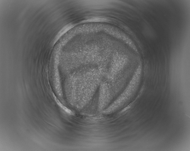 X0000076071425200610202002