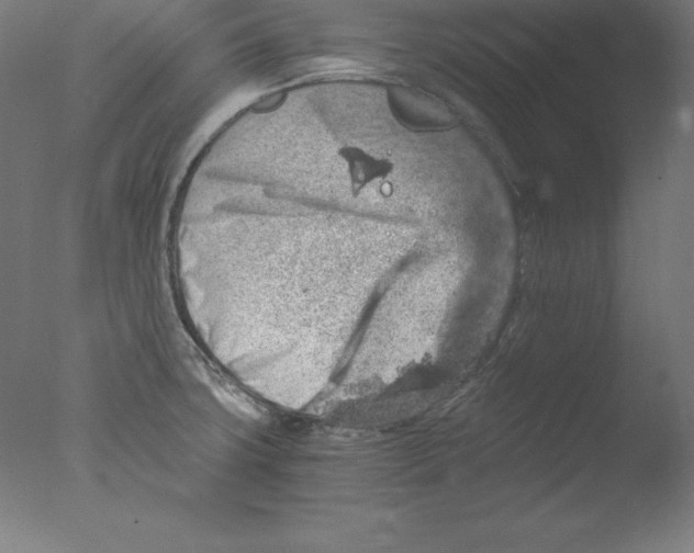 X0000076071427200610202002