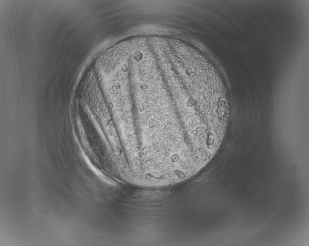 X0000076071429200610202002