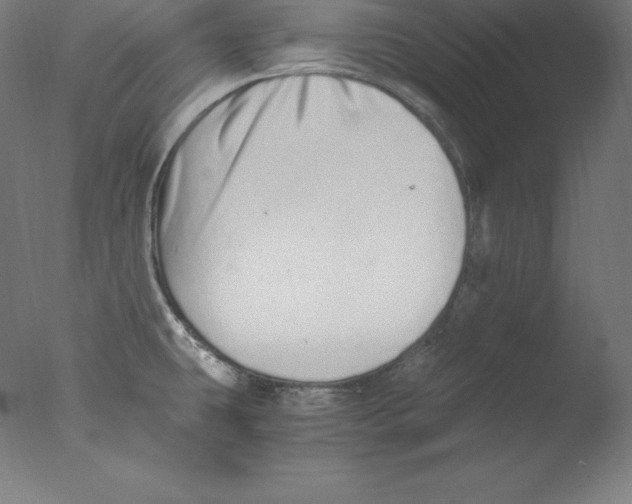 X0000076071431200610202002