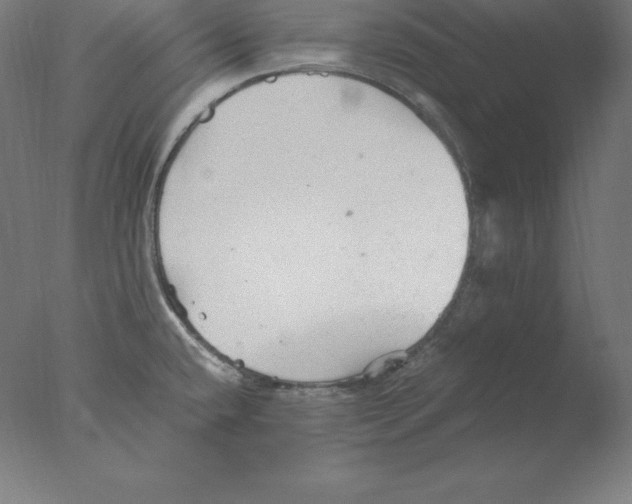 X0000076071432200610202002