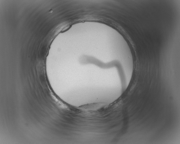 X0000076071433200610202002