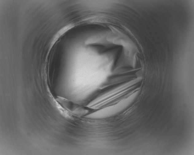 X0000076071434200610202002