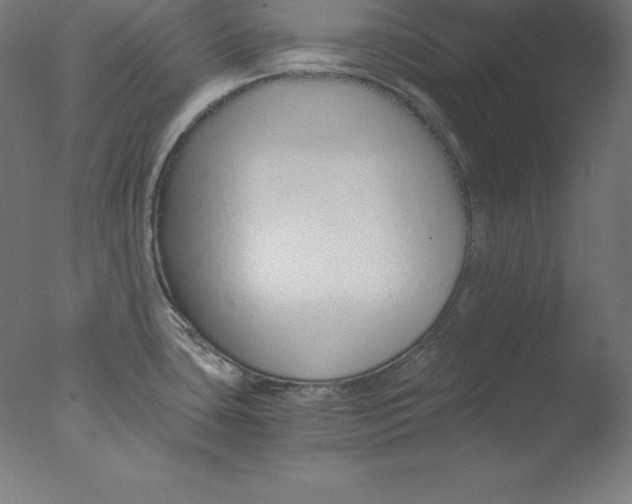 X0000076071435200610202002