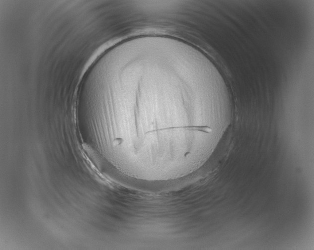 X0000076071436200610202002