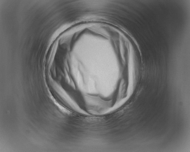 X0000076071437200610202002