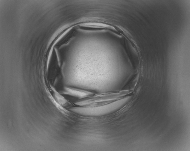 X0000076071438200610202002