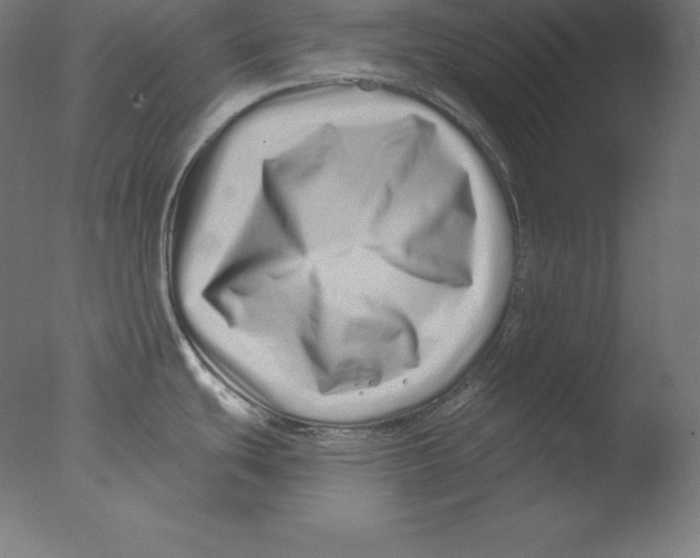 X0000076071439200610202003