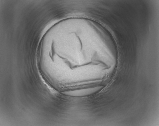 X0000076071440200610202003