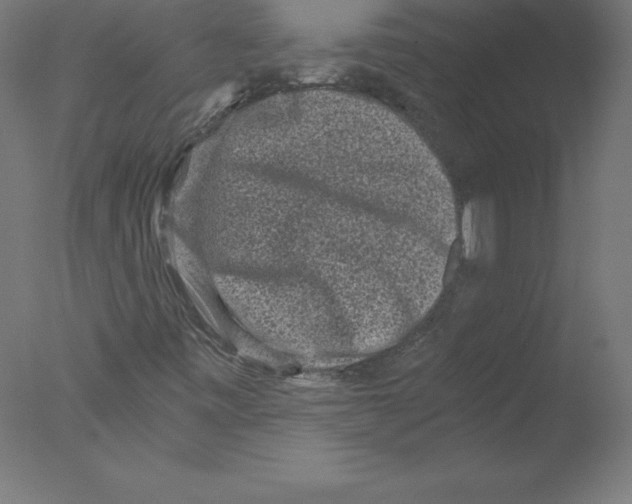 X0000076071443200610202002