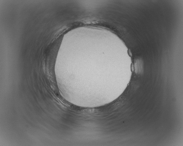 X0000076071444200610202002