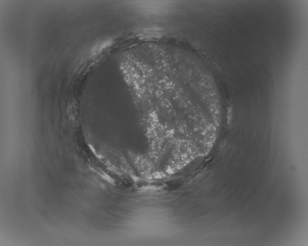 X0000076071445200610202002