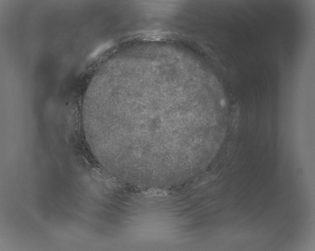 X0000076071446200610202002