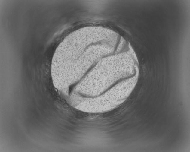 X0000076071447200610202002