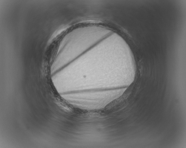 X0000076071448200610202002