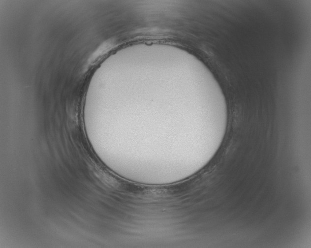 X0000076071451200610202002