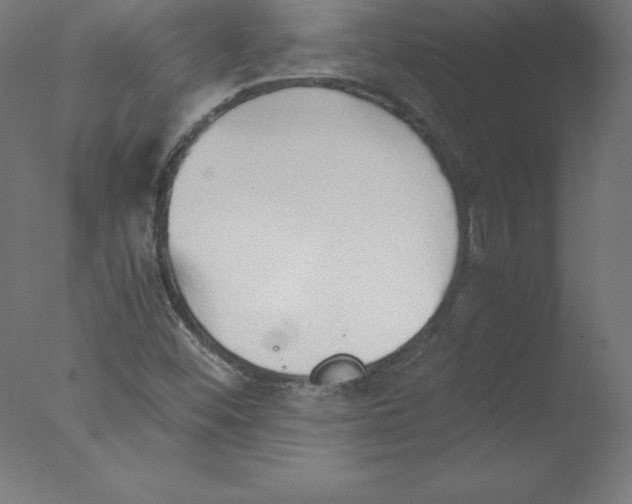 X0000076071452200610202002