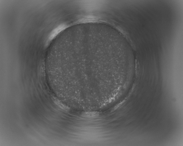 X0000076071453200610202002