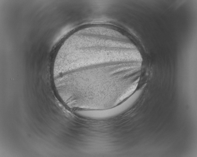 X0000076071456200610202001