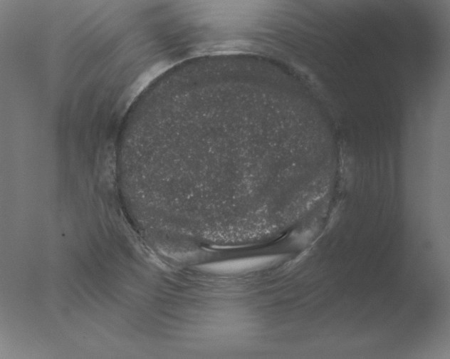 X0000076071457200610202001