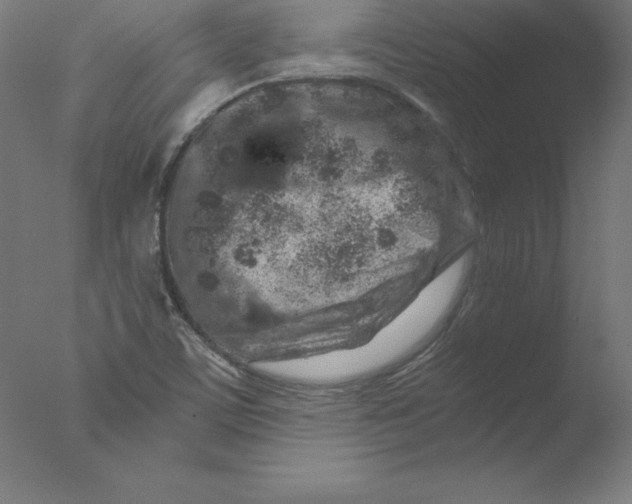 X0000076071459200610202001