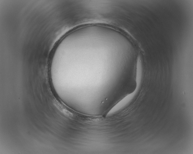 X0000076071460200610202001