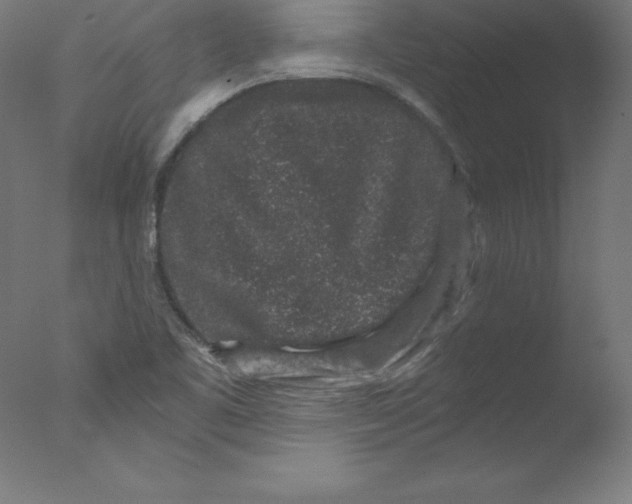 X0000076071461200610202001