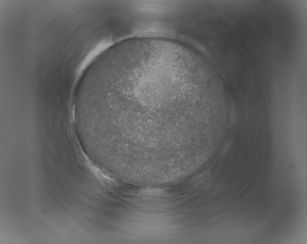 X0000076071462200610202001