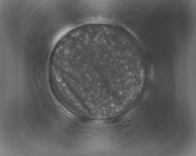 X0000076071463200610202001