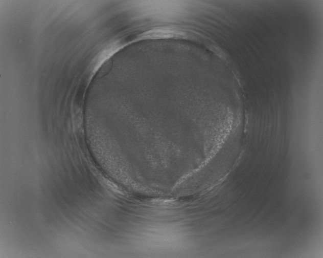 X0000076071465200610202001