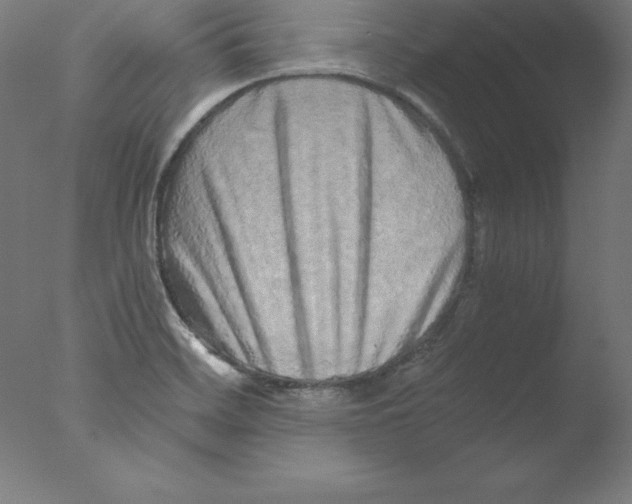 X0000076071468200610202001