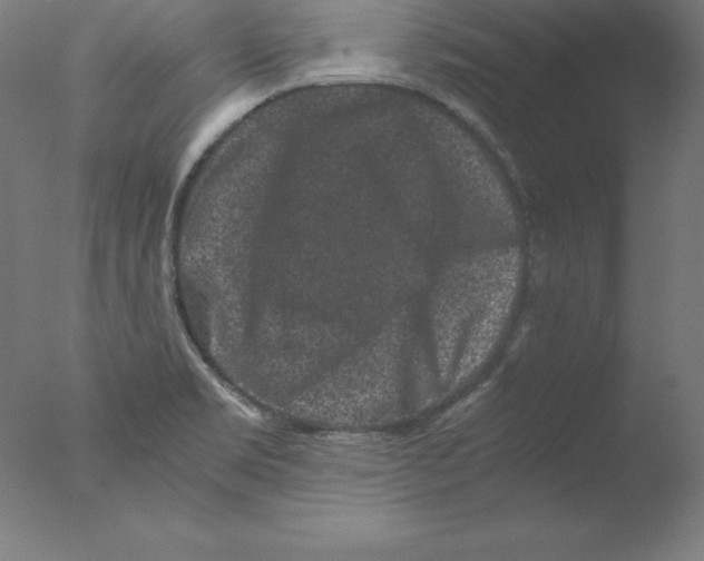 X0000076071469200610202001