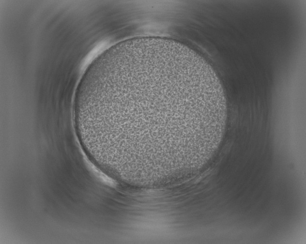 X0000076071471200610202001