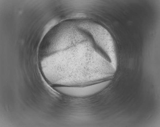 X0000076071475200610202001