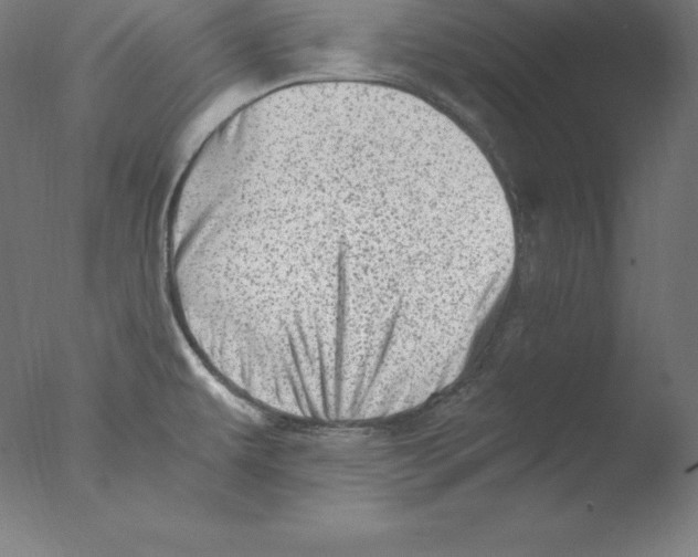 X0000076071479200610202001