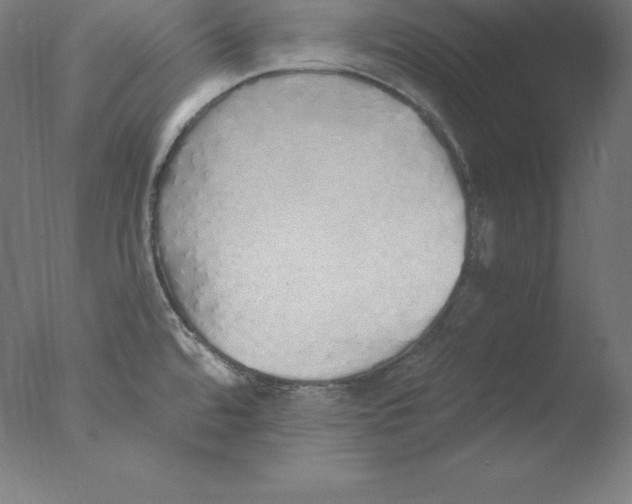 X0000076071480200610202001