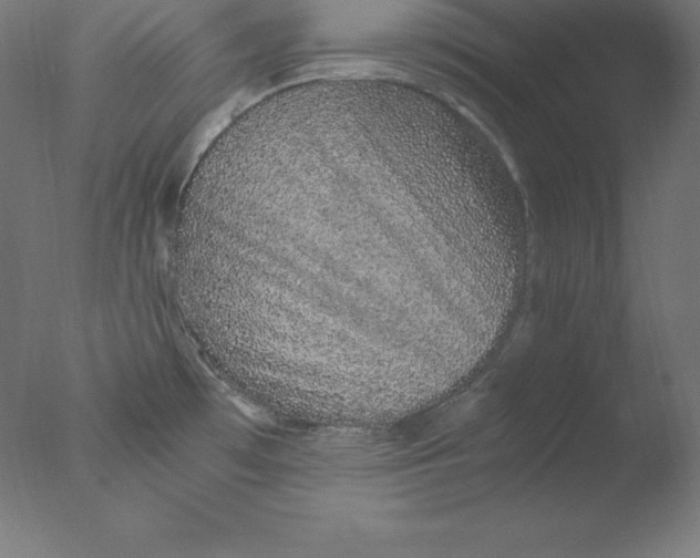 X0000076071481200610202001