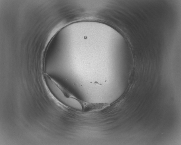 X0000076071483200610202001