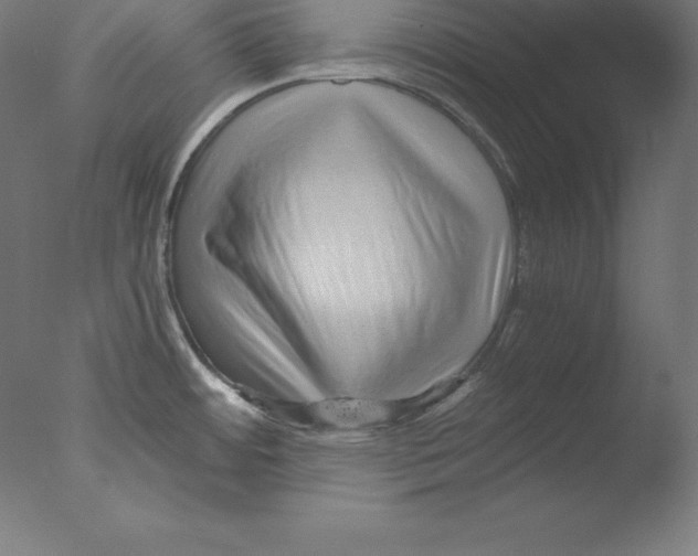 X0000076071484200610202001