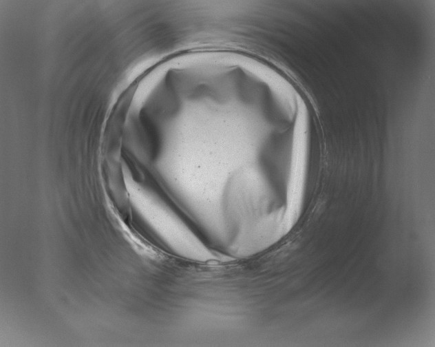 X0000076071485200610202001