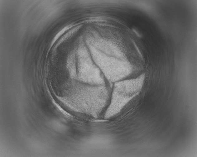 X0000076071487200610202001