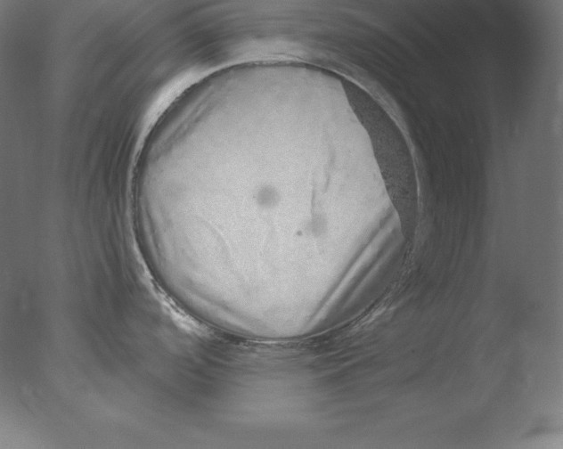 X0000076071488200610202001