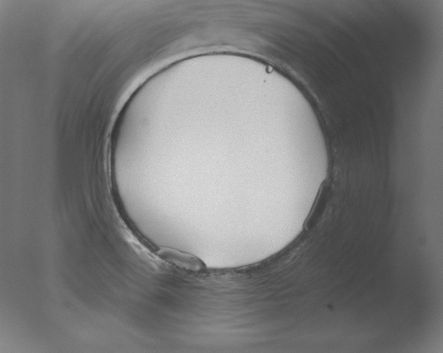 X0000076071516200610202001