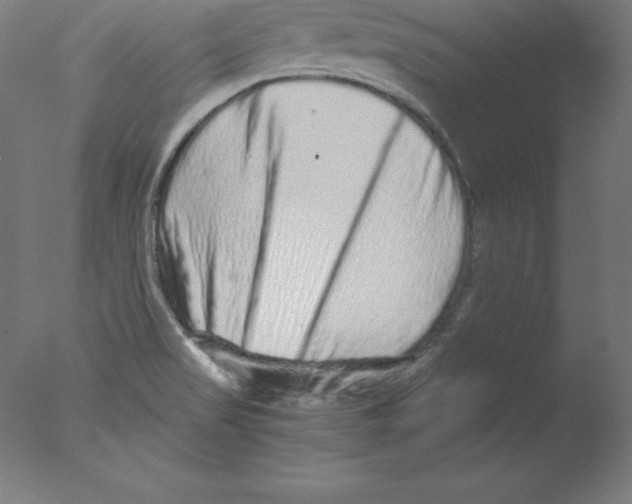 X0000076071517200610202001